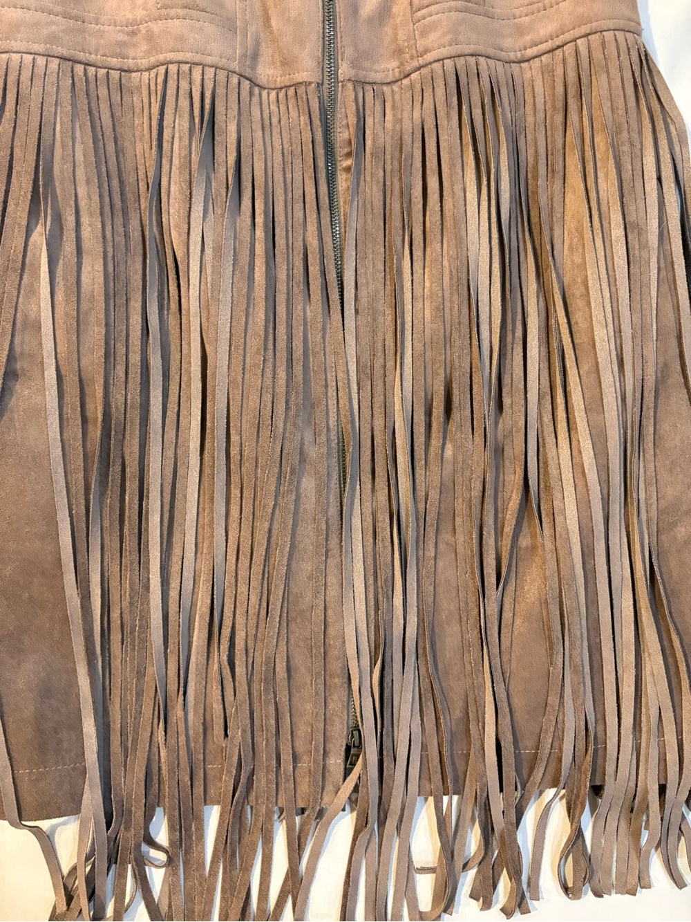 BCBGMaxAzria Taupe Fringe Suede Mini Dress - Picture 3 of 9